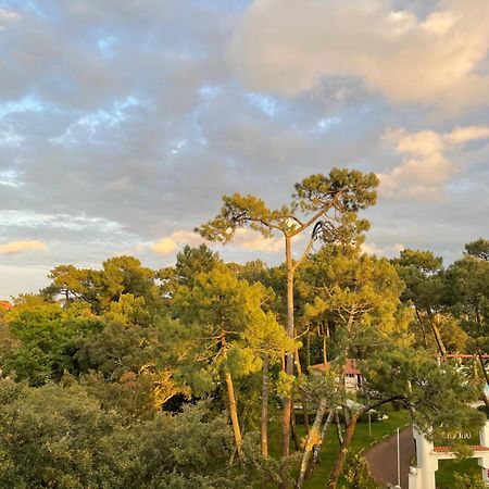 Apartament Tao Soorts-Hossegor Zewnętrze zdjęcie
