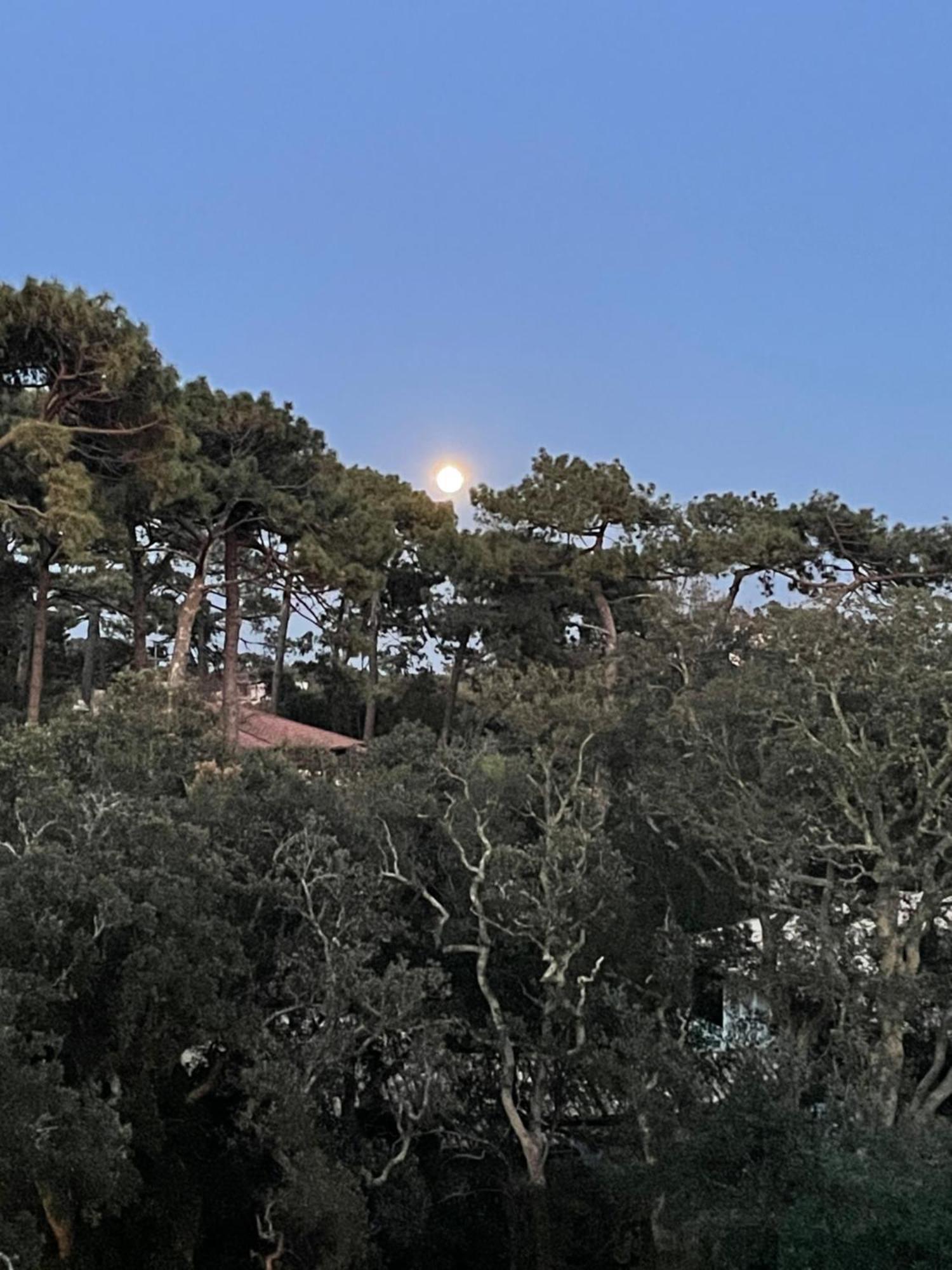 Apartament Tao Soorts-Hossegor Zewnętrze zdjęcie