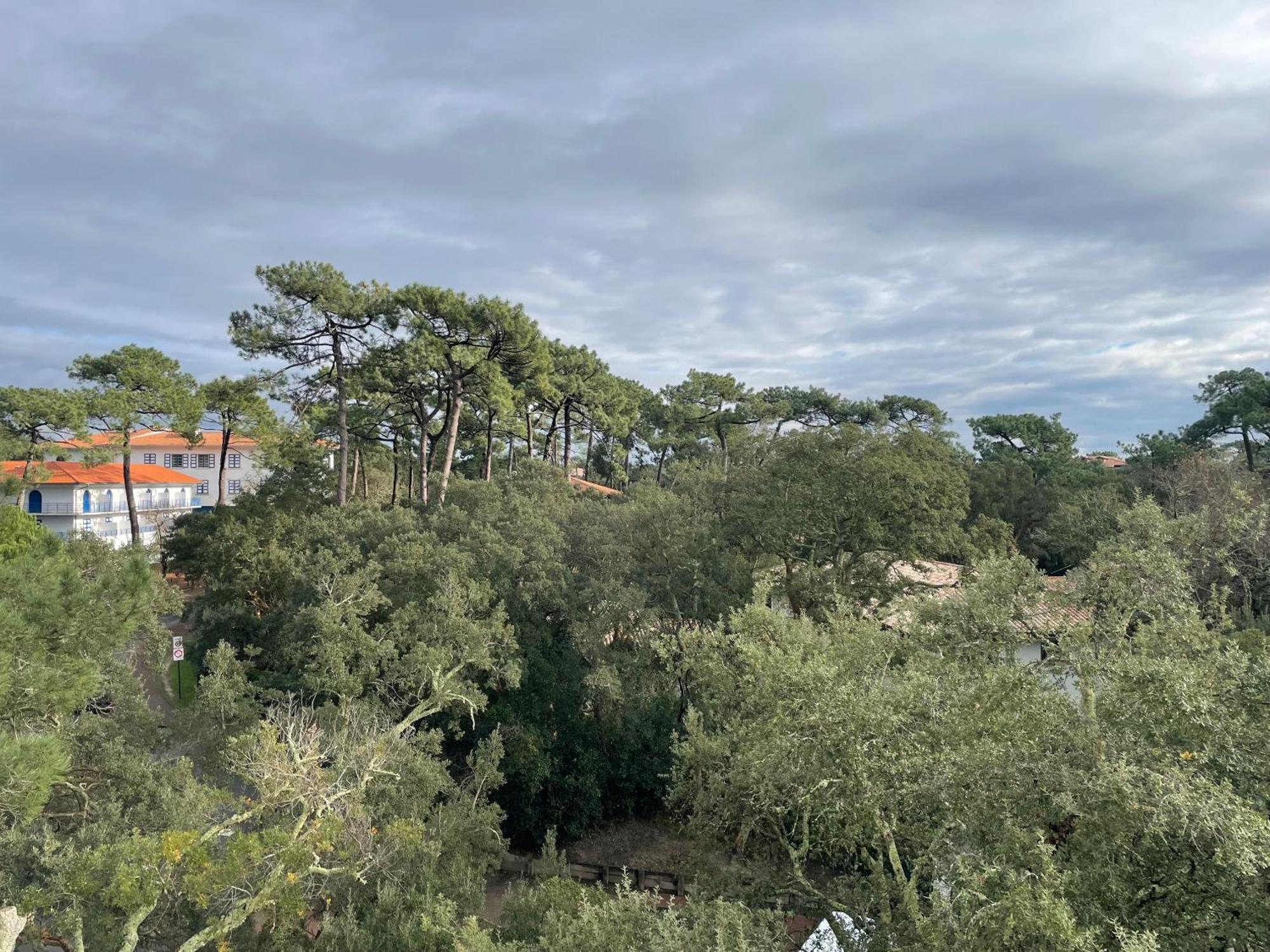 Apartament Tao Soorts-Hossegor Zewnętrze zdjęcie